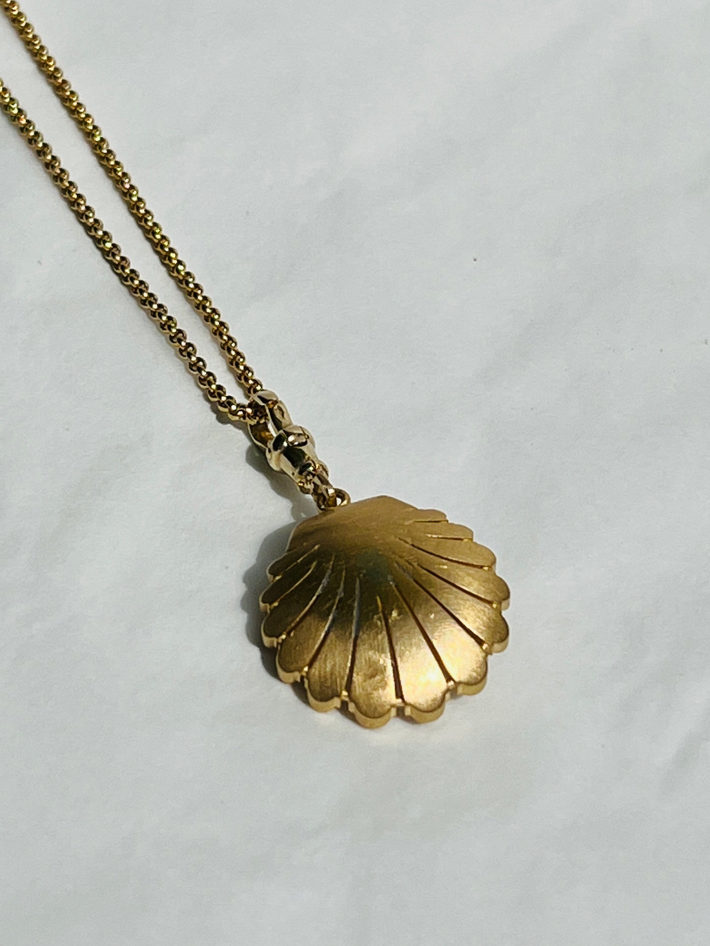 Venus on the Half Shell